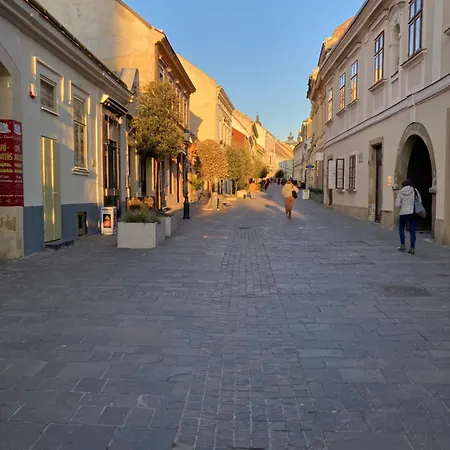 Daire White Nest Peçuy